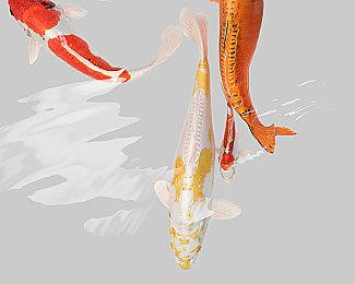 大杀四方！《战地6》最好用的枪械推荐